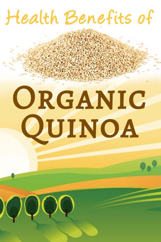 Organic White Quinoa