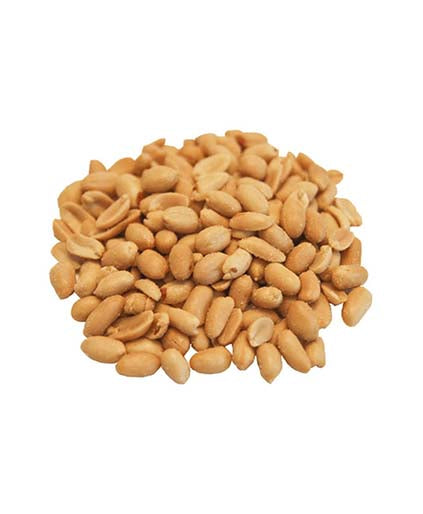 Grab &Go Snack Pack -Peanuts Roasted Salted Single Serve Bag (Shelled, 10 Count)